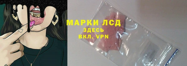 стафф Володарск