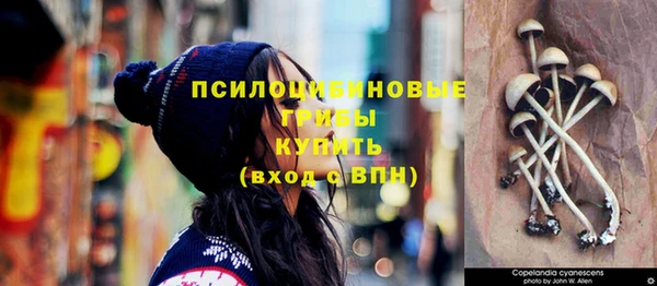 МДПВ Сатка