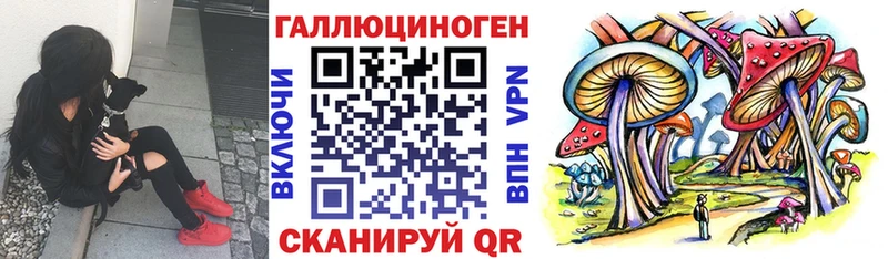 Псилоцибиновые грибы прущие грибы  Павловский Посад 