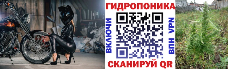 Канабис ГИДРОПОН  Павловский Посад 